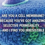 Cell Membrane Pick Up Line